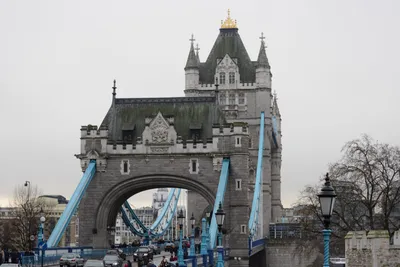 DSC_5893 (Large).JPG